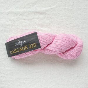 Cascade 220iJXP[h[j9477 ю ҂ 肠 ҂ݕ