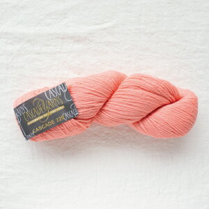 Cascade 220iJXP[h[j9682 ю ҂ 肠 ҂ݕ