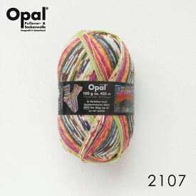【人気No.2】 毛糸 Opal オパール Hundertwasser 2107てあみ かぎ針 棒針 ニット 手編み 編み物 手芸 ハンドメイド 手作り☆オパール