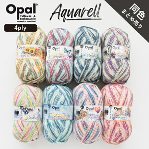 Opal Aquarell 4ply F܂Ƃߔ聞ANA[ Ip[