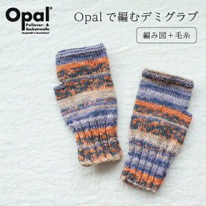 Vvȃf~Ou юƃVs̃Zbg