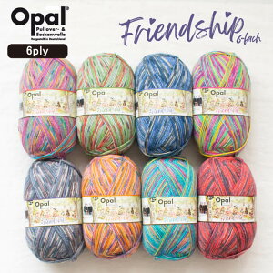 Opal Friendship 6ply(フレンドシップ)11560 11561 11562 11563 11564 11565 11566 11567 靴下用毛糸 オパール