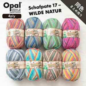 Opal Schafpate 17 4ply F܂Ƃߔ聞Vtp[e Ip[