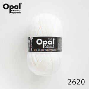 ю Opal Ip[ Uni 2620 / zCgĂ j _j jbg ҂ ҂ݕ | nhCh 聙Ip[