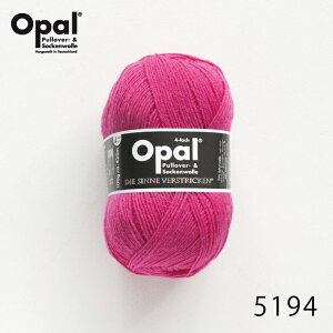 ю Opal Ip[ Uni 5194 sN / \bN[ Cpю Ă jbg ҂ ҂ݕ | nhCh  j _j