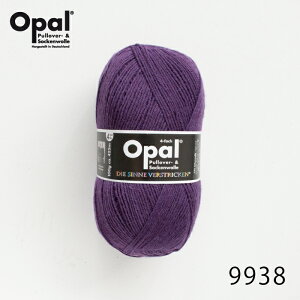 ю Opal Ip[ Uni 9938 / x[ Ă j _j jbg ҂ ҂ݕ | nhCh 聙Ip[