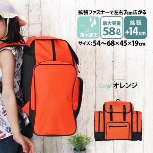 bN e ъԊwZ 4 ^bN ̎q j̎q hwK hЃbN Pi bN bNTbN ^ Lv AEghA 60001 IWi TubN 傫 Cw