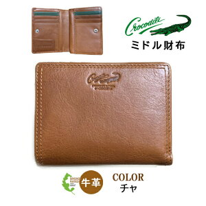 z ܂z Y uh 6cm084 Crocodile NR_C v ~hEHbg ܍z z {v v v U[ K lC   Vv a j am 