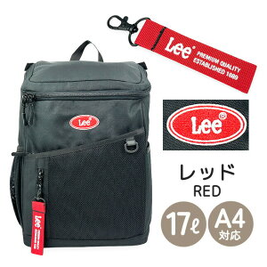 bN LbY w 17L 320-4933 Lee [ lucky {bNXbN obNpbN bNTbN fCpbN bN ߃bN A4NAt@C ^ubg[ ʊw ʏm  Cw