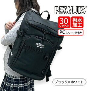 bN ʊw e y q jq SNOOPY PEANUTS Xk[s[ s[ibc 2sna5rk09 ͂  {bNXbNTbN 30L B4 A3 15C` PC ^ubg uh S Cws 傫 v  