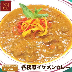 各務原イケメンカレー5袋セット（カレー200g 5袋）【カレー　インドカレー　スパイス　カシューナッツ　ビーフカレー　各務原ニンジン　牛肉】