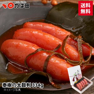 q Γc yz zАhq߂񂽂 w׎̑۔x 334g ^ q B  O  т̂ ܂ Mtg Ε  ̓ ̓