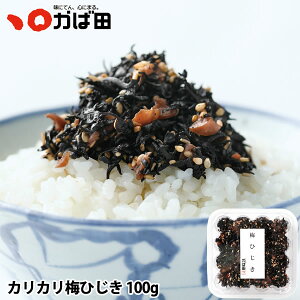 JJ~Ђ 100g (381606)Γc ΂ ^ q B  O  т̂ ܂ Mtg Ε  ̓ ̓