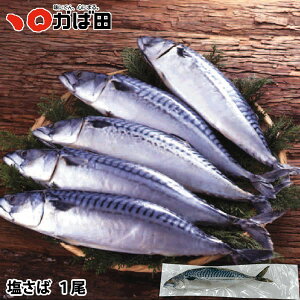 (mEF[Y)@1 (400006)iTo/I//To/Ij ^ q B  O  т̂ ܂ Mtg Ε  ̓ ̓
