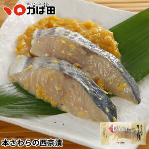 {̐ 1 (434702)Γc k O  ^ q B  O  т̂ ܂ Mtg Ε  ̓ ̓