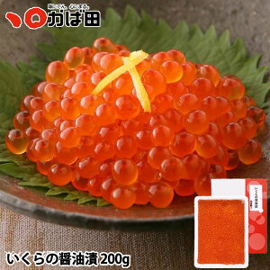 ̏ݖ ϔl 200g (540904) ( Γc ΂ k O ) ^ q B  O  т̂ ܂ Mtg Ε  ̓ ̓