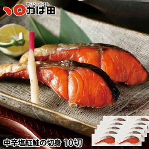 h g̐ؐg 10 (550956)Γc k O ^ q B  O  т̂ ܂ Mtg Ε  ̓ ̓