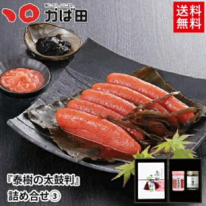 q Γc yz w ׎̑۔ xlߍ 3 (802236) ^ q B  O  т̂ ܂ Mtg Ε  ̓ ̓