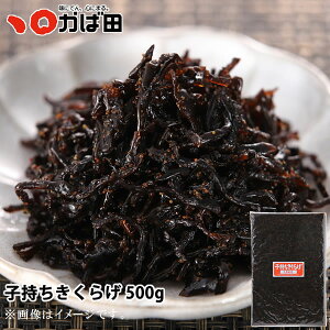 yizp q炰 500giGRpbNji511809jΓc ΂ ^ q B  O  т̂ ܂ Mtg Ε  ̓ ̓