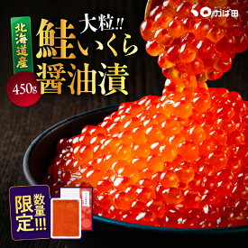 【在庫限り30%OFF & 送料無料】 いくらの醤油漬 化粧箱詰 450g (540905) ( グルメ ギフト 九州 明太子 お土産 ご飯のお供 お取り寄せ お歳暮 お中元 母の日 父の日 )