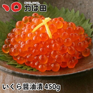 ̏ݖ ϔl 450g (540903)( O Mtg B q yY т̂  Ε  ̓ ̓ )