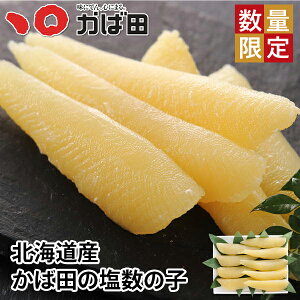 yʌzYE̎q 500g (545012) ( O Mtg B q yY т̂  Ε  ̓ ̓ )