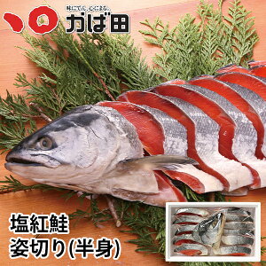 g p؂ g (550215)( O Mtg B q yY т̂  Ε  ̓ ̓ )