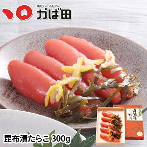 Γc zЂ炱 300gi281031jq Γc ^ q B  O  т̂ ܂ Mtg Ε  ̓ ̓