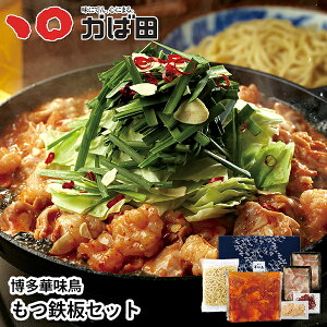 yz ؖ SZbg (870806)