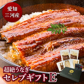 愛知三河産　超絶うなぎ【セレブギフトE】うなぎ 蒲焼き ギフト 父の日 母の日 敬老の日 食べ物 プレゼント 鰻 ウナギ 蒲焼 国産 国内産 お祝い 内祝い 結婚内祝い グルメ 丑の日 土用の丑の日 冷凍食品 送料無料