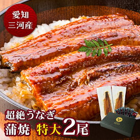 【父の日ギフト】愛知三河産　超絶うなぎ蒲焼（212g-236g）×特大2尾　4人前うなぎ 蒲焼き ギフト 父の日 母の日 敬老の日 食べ物 プレゼント 鰻 ウナギ 蒲焼 国産 国内産 お祝い 内祝い 結婚内祝い グルメ 丑の日 土用の丑の日 冷凍食品 送料無料