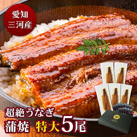 愛知三河産　超絶うなぎ蒲焼（212g-236g）×特大5尾　8人前うなぎ 蒲焼き ギフト 父の日 母の日 敬老の日 食べ物 プレゼント 鰻 ウナギ 蒲焼 国産 国内産 お祝い 内祝い 結婚内祝い グルメ 丑の日 土用の丑の日 冷凍食品 送料無料