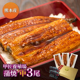 熊本県産 甲佐養殖場の蒲焼（119g-134g）×中3尾うなぎ 蒲焼き ギフト 父の日 母の日 敬老の日 鰻 ウナギ 蒲焼 国産 国内産 お祝い 内祝い 結婚内祝い グルメ 丑の日 土用の丑の日 冷凍食品 送料無料