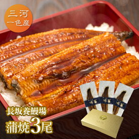 愛知三河一色産 長坂養鰻場の蒲焼（119g-134g）×中3尾　3人前 父の日　母の日　敬老の日 うなぎ 蒲焼き ギフト 食べ物 プレゼント 鰻 ウナギ 蒲焼 国産 国内産 お祝い 内祝い 結婚内祝い グルメ 丑の日 土用の丑の日 冷凍食品 送料無料