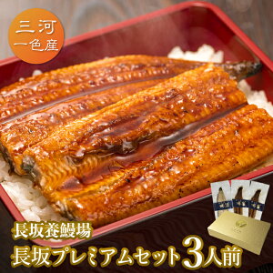 愛知三河一色産 長坂プレミアムセット 3人前父の日 母の日 敬老の日 うなぎ 蒲焼き ギフト 食べ物 プレゼント 鰻 ウナギ 蒲焼 国産 国内産 お祝い 内祝い 結婚内祝い グルメ 丑の日 土