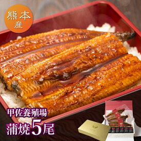 楽天市場 父の日 うなぎ 国産 川水の通販 楽天市場 父の日 うなぎ 国産 川水の通販