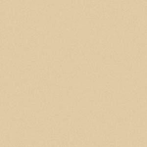  tA[ v[NW ڃV[g 2.5mm 182cm mbNX { rjV[g n R RECX S6Fm1mȏ10cmP ؔn 25FL1002 25FL1003 25FL1004 25FL1008 25FL1009 25FL1010