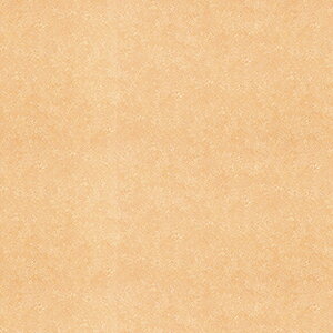  ڃV[g 182cm 2.8mm SFtANW R Ռz ؖڒ Ζڒ w{[ mE 30 m1mȏ10cmP ؂蔄n28SF4201 28SF4202 28SF4203 28SF4204 28SF4205 28SF4206 28SF4207 28SF4208 28SF4209