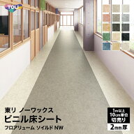 東リ 長尺シート 182cm巾 2mm厚 抗菌 フロアリューム ソイルドNW プレミアNWシリーズ ノンワックス 日本…