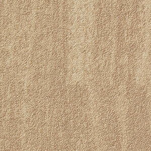 �T���Q�c ���ڃV�[�g �m���X�L�b�h M�T�C�Y 162cm�� 2.5mm�� �E�b�f�B�t���A(�^�e��) �ؖڒ� �m1m�ȏ�10cm�P�� �ؔ���nPX-4801-M PX-4802-M PX-4803-M PX-4804-M