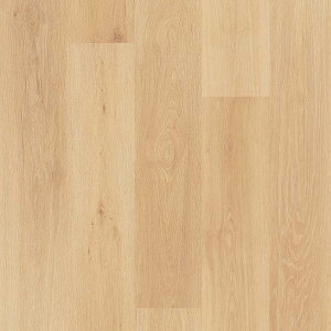 TQc ڃV[g StA XgO 182cm 2mm mbNX R ؖڒ m1mȏ10cmP ؔnPM-24021 PM-24022 PM-24023 PM-24024 PM-24025 PM-24026 PM-24027 PM-24028 PM-24029 PM-24030 PM-24031 PM-24032 PM-240