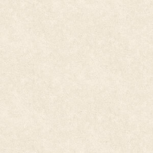 TQc ڃV[g StA XgO 182cm 2mm mbNX R Ζڒ ^C RN[g e m1mȏ10cmP ؔnPM-24044 PM-24045 PM-24046 PM-24047 PM-24048 PM-24049 PM-24051 PM-24052 PM-