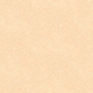 TQc ڃV[g StA XgO 182cm 2mm mbNX R Ζڒ ^C RN[g e m1mȏ10cmP ؔnPM-24044 PM-24045 PM-24046 PM-24047 PM-24048 PM-24049 PM-24051 PM-24052 PM-