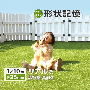 lH [^[t25mm O  iϗp ŏ25mm 1m×10m m1[Pʁnx_ K[fjO eX MT25-0110