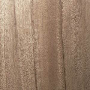 3M _CmbN Op SV[g exV[Y 122cm ؖڒ Ebh ό m1mȏ10cmP ؂蔄n FW-236EX FW-324EX FW-522EX FW-618EX FW-625EX FW-627EX FW-640EX FW-643EX FW-887EX FW-1124EX FW-1129EX FW-1214EX FW-1805E