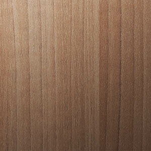 3M _CmbN { EbhOC 122cm ؖڒ m1mȏ10cmP ؂蔄n WG-1703 WG-1704 WG-1705 WG-1709 WG-1836 WG-1837 WG-1840 WG-1848 WG-2460 WG-2461 WG-2462 WG-2463 WG-2464