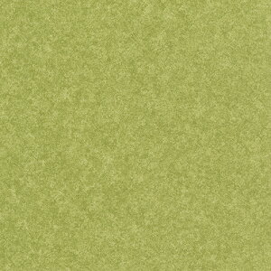 �y���r���[���T�z���� �t���A�^�C�� ���[�X���C40NW-EX TTN1003 TTN1004 TTN1006 TTN1007 TTN1013 TTN1014 TTN1101 TTN1103 TTN1106 TTN1111 TTN1125 TTN1126 TTN1127 TTN1129 TTN1130 �P�[�X�̔� �N���X �N���E�h ���n �V���v��