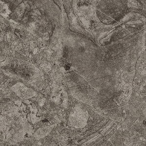 yr[TzTQc tA^C ObT`Fb|WF bNXt[R[eBO KiraritaiL^j P[X̔ Ζڒ   KT-2026 KT-2027 KT-2028