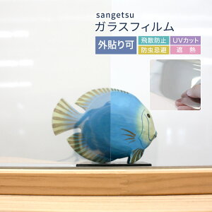 �T���Q�c �K���X�t�B���� ���� �O�\��p 125cm�� CLEAS �N���A�X �� �h�� �r�X�g65EX ���n �N���A ���� �m1m�ȏ�10cm�P�ʐؔ���n �O�\��p�t�B���� �S1��