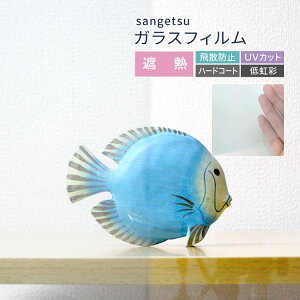 TQc KXtB  ՔM n NA  152.4cm m1mȏ10cmP ؂蔄n WFlHR80 GF1461-3